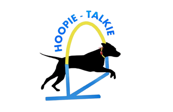 Hungarian Startup University Program - Hoopie-Talkie
