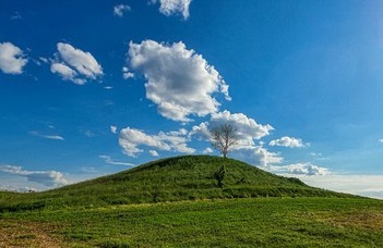 Hiányzó láncszem az indoeurópai nyelvek eredetének történetéhez Az emberiség nyelvi gyökereinek megismerése genomikai elemzések alapján