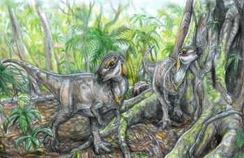 Növényevő dinoszauruszok csontjaira bukkantak a Hátszegi-medencében