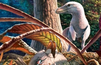 Az első magyarországi dinoszaurusz-tojás leletek