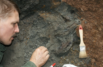 Száz éve elfeledett dinoszaurusz lelőhelyeket fedeztünk fel Erdélyben