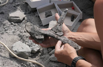 Geology MSc