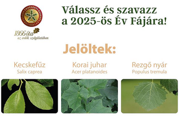 Elindult az Év fája 2025 szavazás
