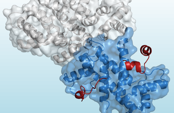 Az ELTE kutatóinak új módszere segíti a fehérjeszerkezetek megismerését