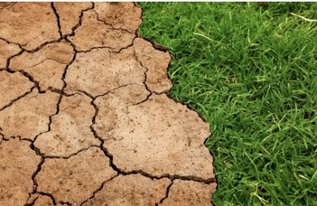 Long decline in soil moisture urges restoration of European wetlands